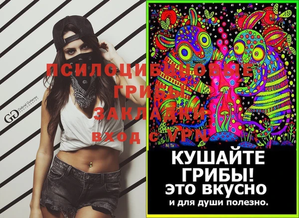 шишки Абаза