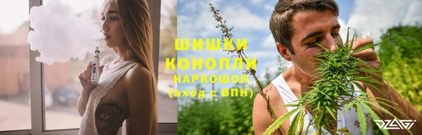шишки Абаза