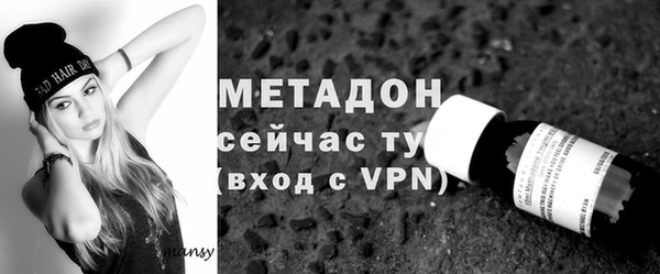 шишки Абаза