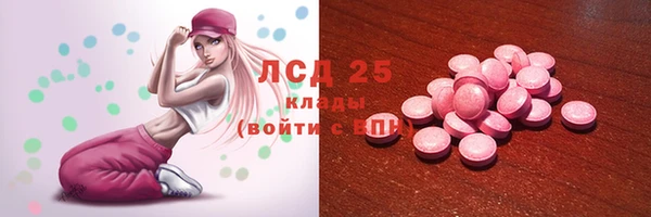 шишки Абаза