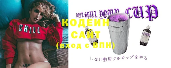 шишки Абаза