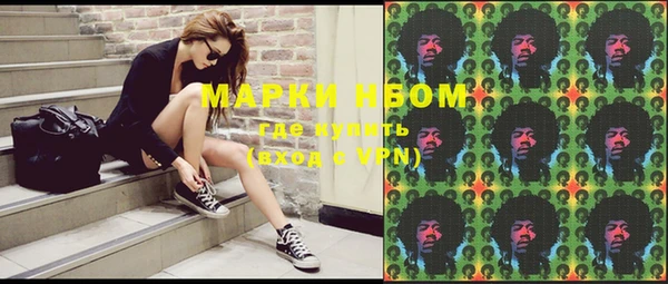 шишки Абаза