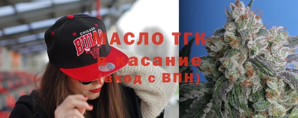 шишки Абаза