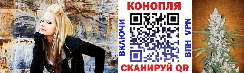 Конопля ГИДРОПОН  Курлово 